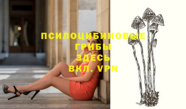 шишки Михайловск