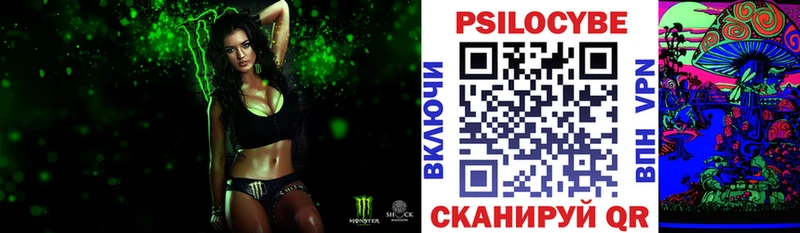 Галлюциногенные грибы Psilocybe Ейск