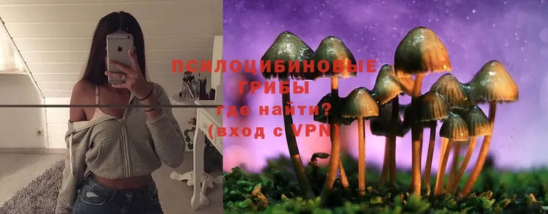 darknet состав  Ейск  Галлюциногенные грибы MAGIC MUSHROOMS 