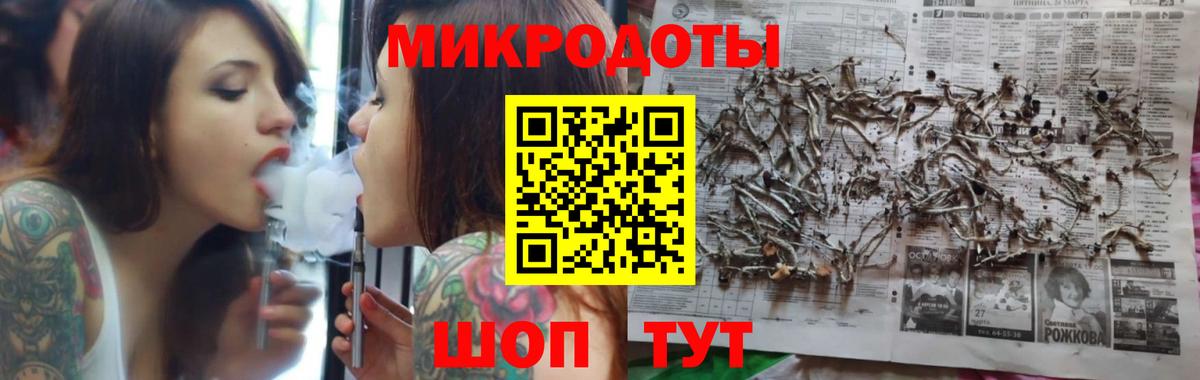 Галлюциногенные грибы Psilocybine cubensis Ейск