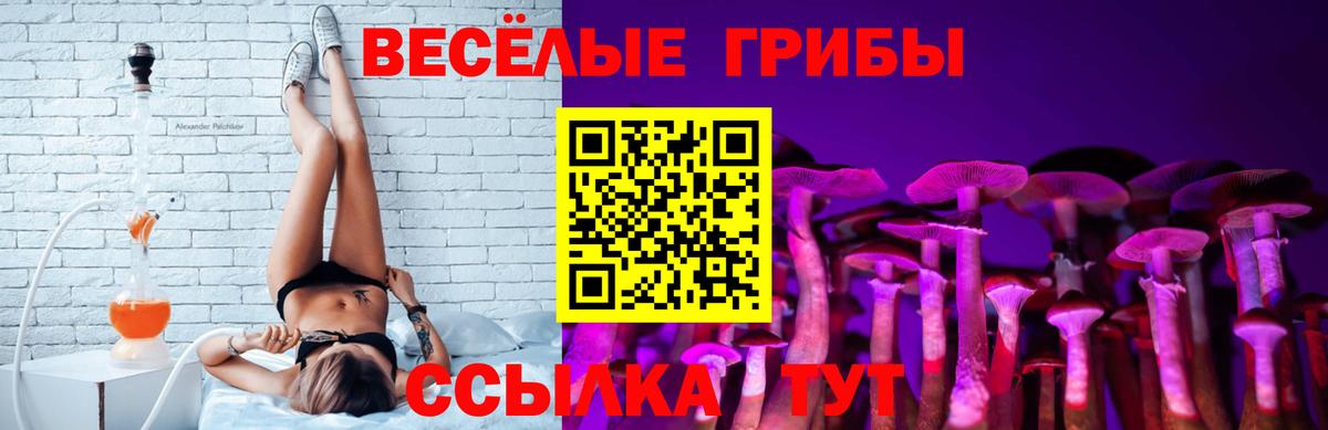 купить  цена  Галлюциногенные грибы Cubensis  Вход с VPN  Псилоцибиновые грибы Magic Shrooms  Ейск 